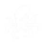 Okto Logo